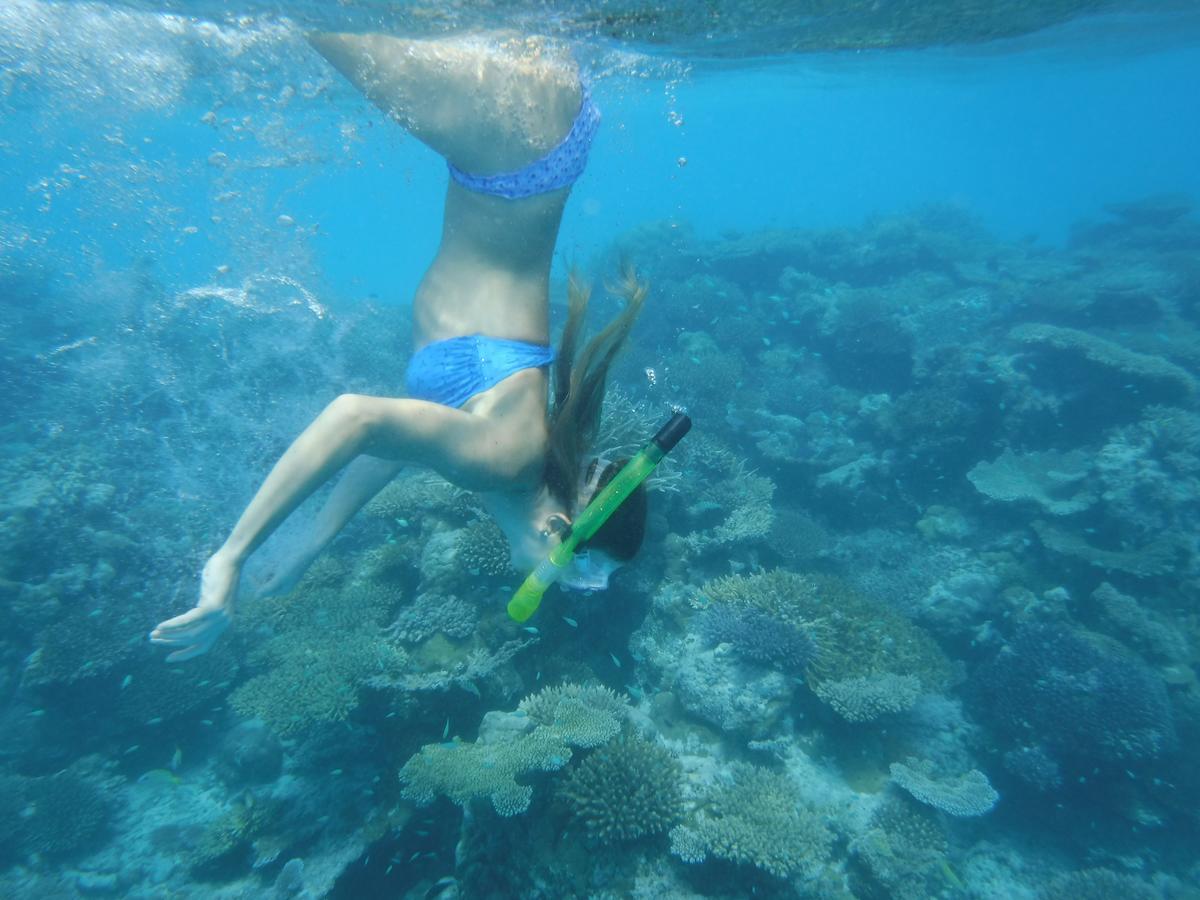 Surf Trip Maldives Hotel Thulusdhoo Zewnętrze zdjęcie